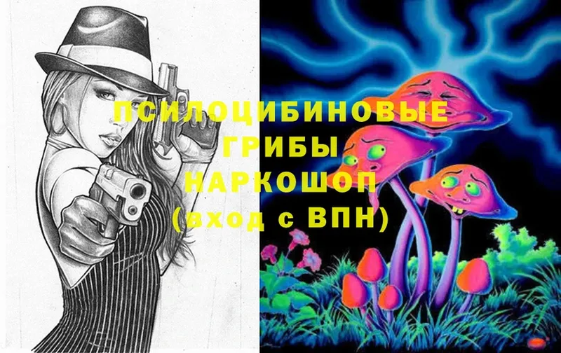 hydra как зайти  Азов  Галлюциногенные грибы Psilocybine cubensis 